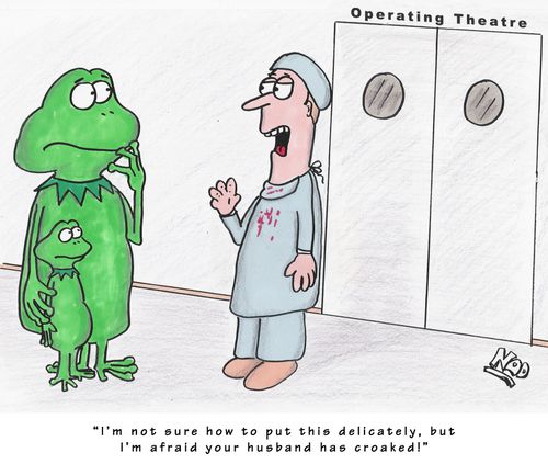 'I'm not sure how to put this delicately, but I'm afraid your husband has croaked...!'