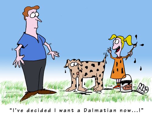 'I've decided I want a Dalmatian now...!'