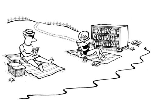 Bookcase at the Beach.