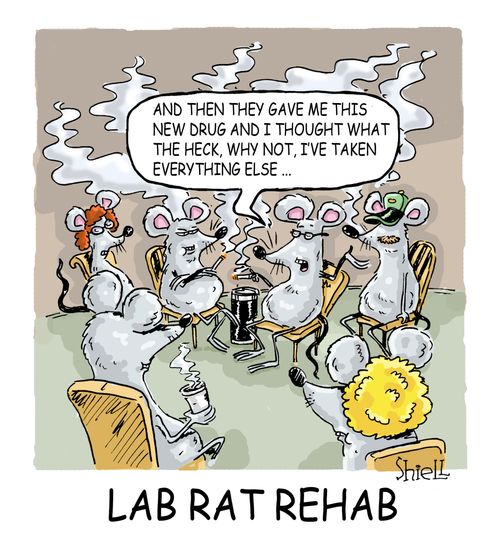 Lab Rat Rehab...