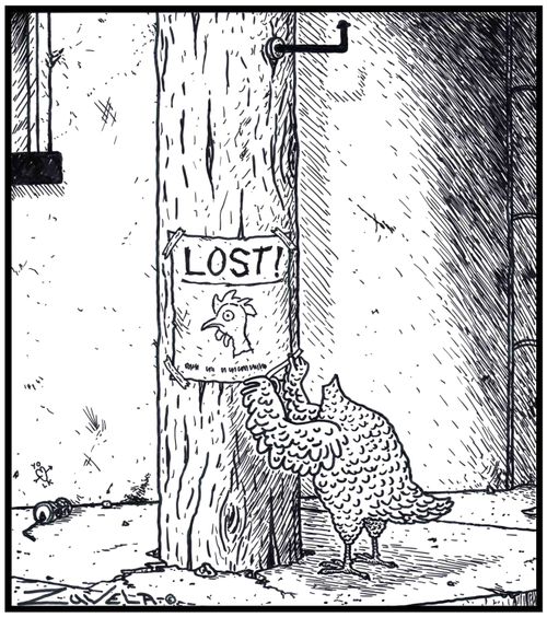 LOST: a chicken has had it's head chopped off and is looking for it placing fliers about town