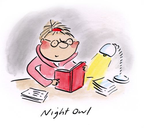 Night Owl
