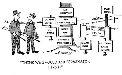 'Think we should ask permission first?'