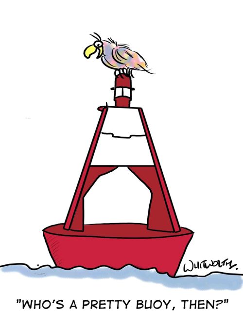 "Who's a pretty buoy, then?"