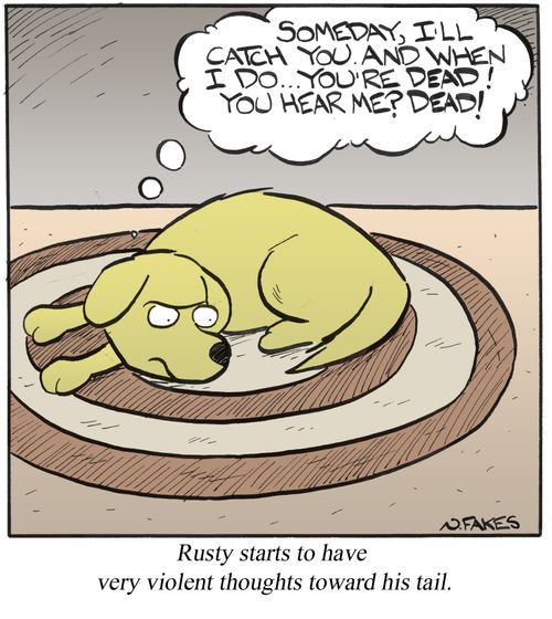Rusty starts to have very violent thoughts toward his tail.