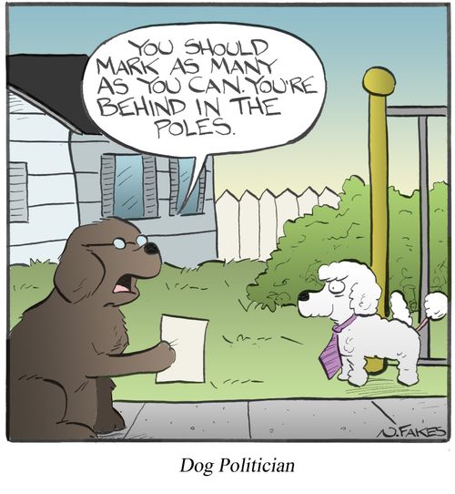 Dog Politician
