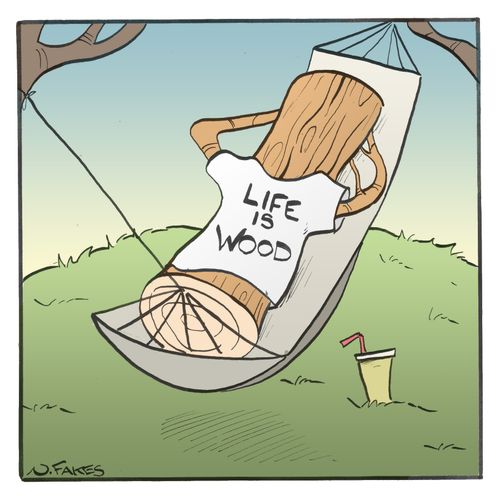 Life is Wood