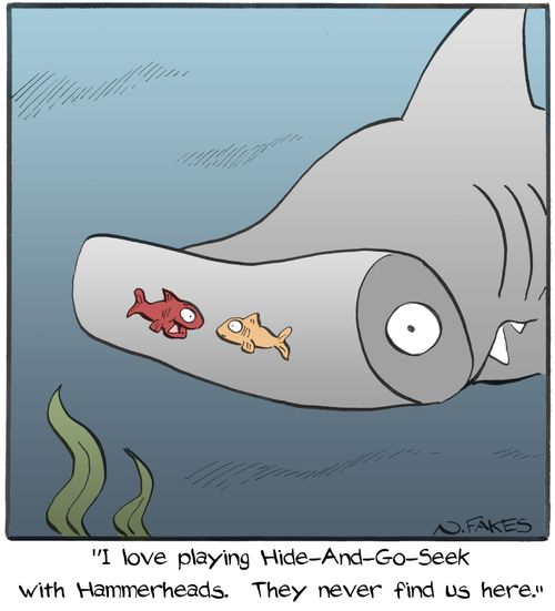 "I love playing Hide-And-Go-Seek with Hammerheads. They never find us here."