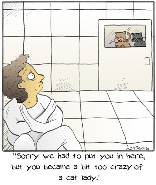 "Sorry we had to put you in here, but you became a bit too crazy of a cat lady."