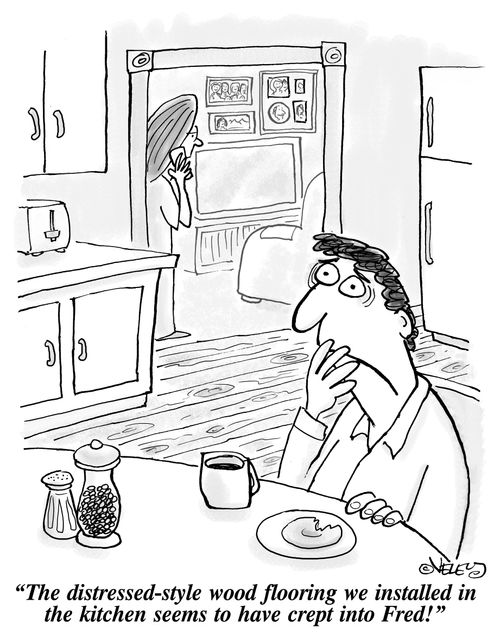 "The distressed-style wood flooring we installed in the kitchen seems to have crept into Fred!"