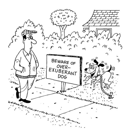 Beware of over-exuberant dog.