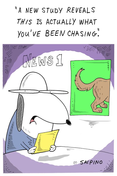 "A new study reveals this is actually what you've been chasing."