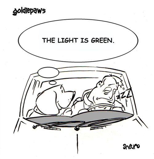 The light is green.