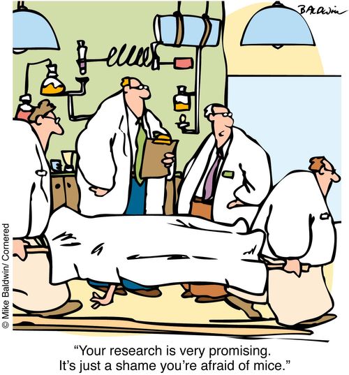 "You're research is very promising. It's just a shame you're afraid of mice"