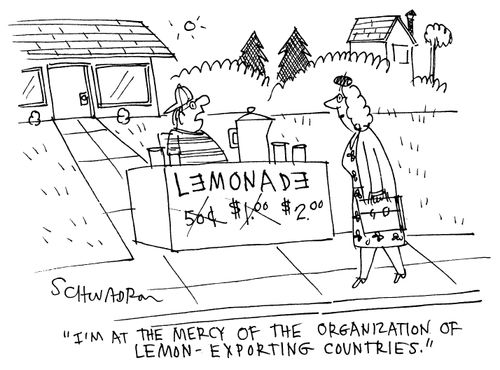 'I'm at the mercy of the organization of lemon-exporting countries.'