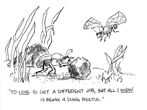 'I'd love to get a different job, but all I know is being an dung beetle.'