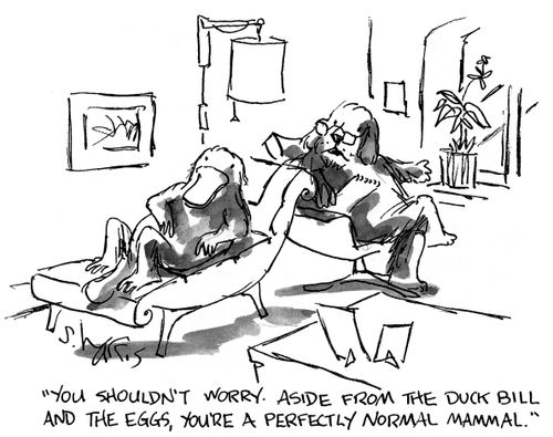 'You shouldn't worry.  Aside from the duck bill and the eggs, you're a perfectly normal mammal.'