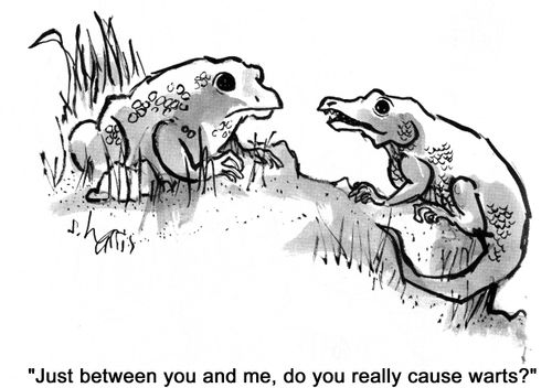 'Just between you and me, do you really cause warts?'