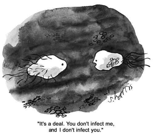 'It's a deal.  You don't infect me, and I don't infect you.'