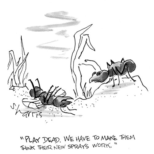 Play dead. We have to make them think their new sprays work.