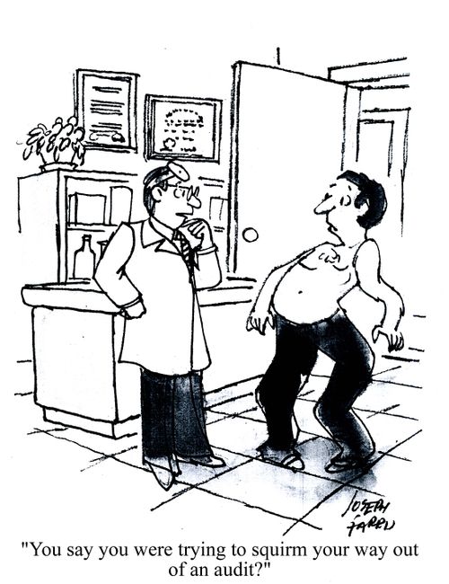 'You say you were trying to squirm your way out of an audit?'
