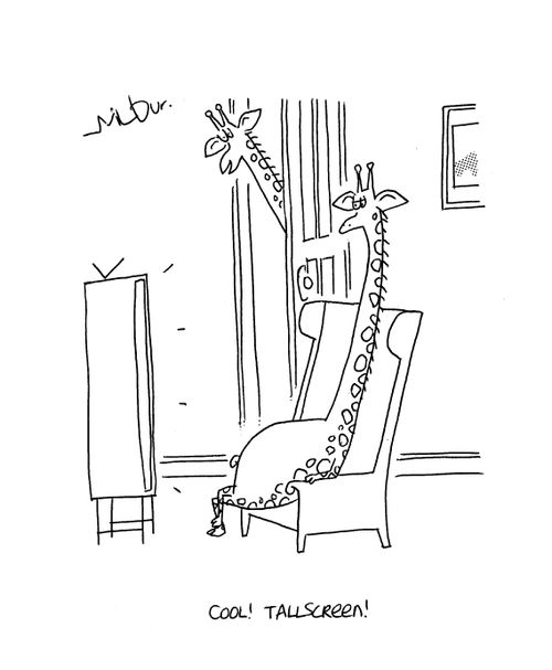 'Cool! Tallscreen!'