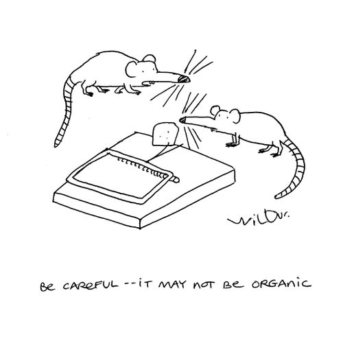 'Be careful...It may not be organic.'