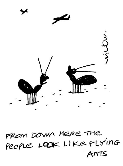 'From down here the people look like flying Ants.'