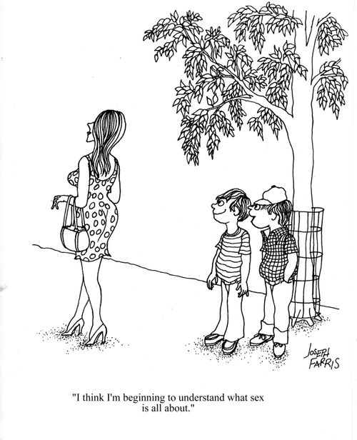 'I think I'm beginning to understand what sex is all about.'
