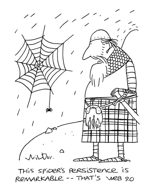 'This spider's persistence is remarkable - that's web 9.0.'