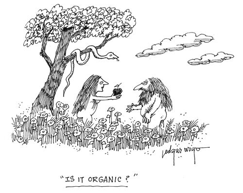 'Is it organic?'