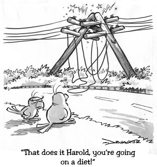'That does it Harold, you're going on a diet!'