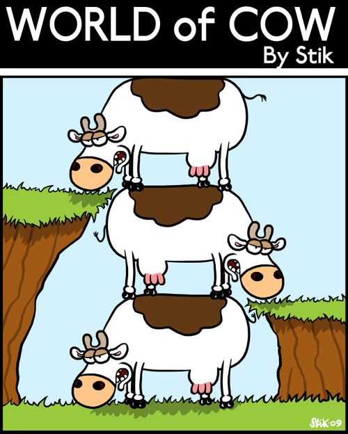 Cows standing on each others back to graze as a team.