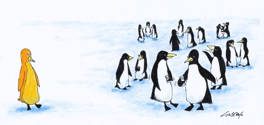 Social Networking - Outsider.