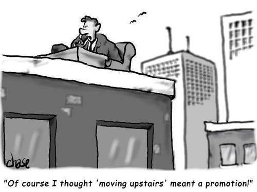Business Promotion.