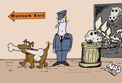 Dog finds a nice bone at the museum.