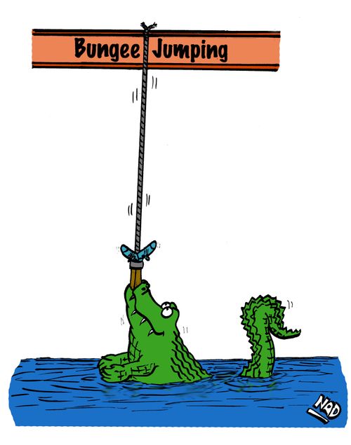 The dangers of bungee jumping.