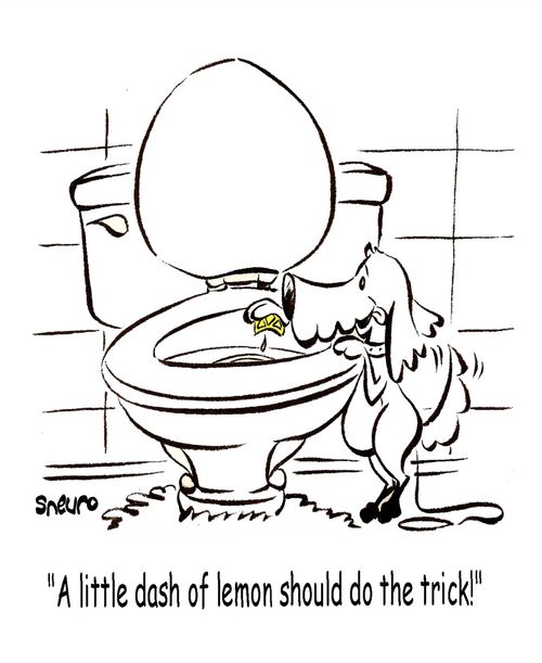 A little dash of lemon should do the trick!