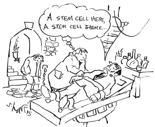 A stem cell here, a stem cell there...