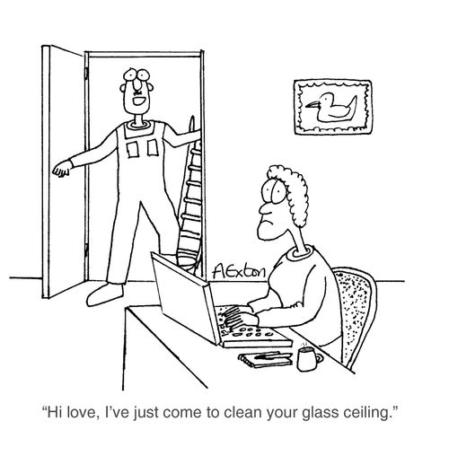 'Hi love, I've just come to clean your glass ceiling.'