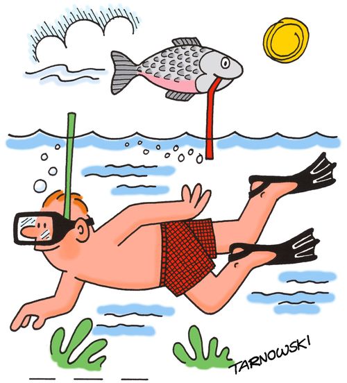 Fish snorkling above water.