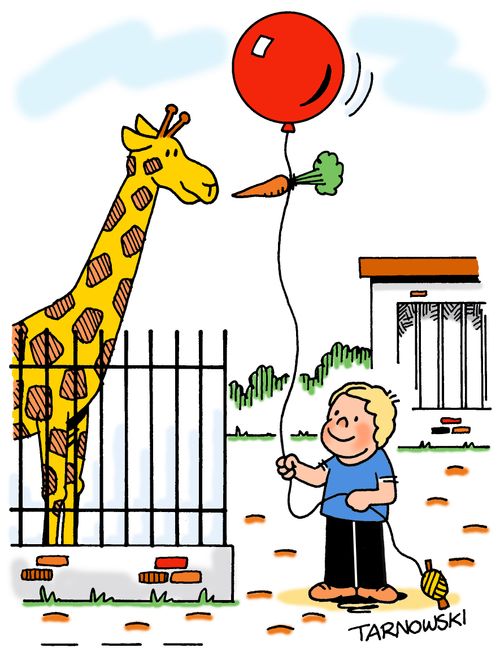 Feeding of a giraffe with the use of a balloon.