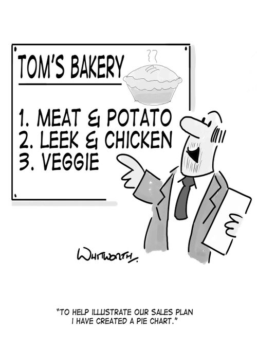 "To help illustrate our sales plan I have created a pie chart."