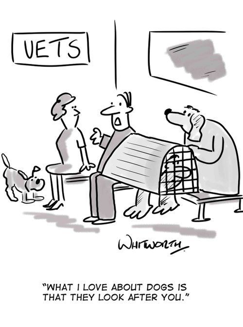 "What I love about dogs is that they look after you."