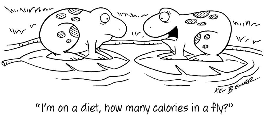 "I'm on a diet, how many calories in a fly?"