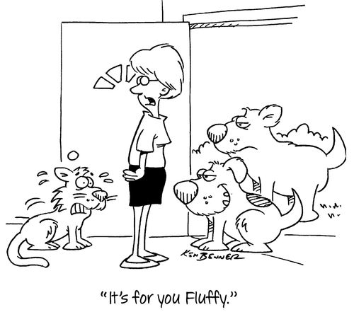 "It's for you Fluffy."
