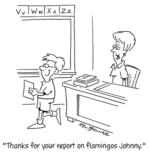 "Thanks for your report on flamingos Johnny."