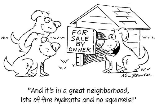 "And it's in a great neighborhood, lots of fire hydrants and no squirrels!"