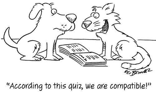 "According to this quiz, we are compatible!"