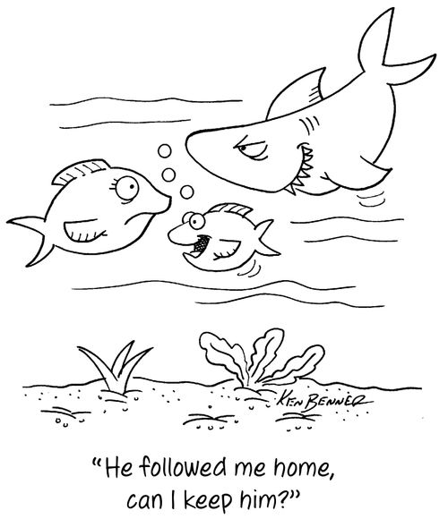 "He followed me home, can I keep him?"